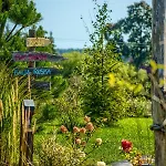 Pod Mazurskim Niebem Boho