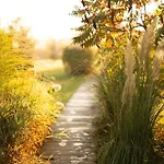 Pod Mazurskim Niebem Boho Üdülőpark Piecki