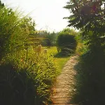 Pod Mazurskim Niebem Boho *